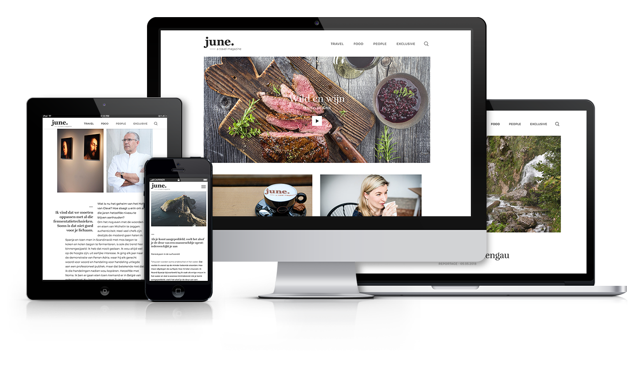 project – june. website – screens